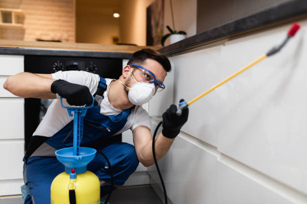 Best Cockroach Control Services  in Six Mile, SC