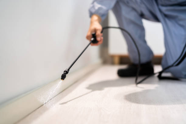 Pest Prevention Services in Six Mile, SC