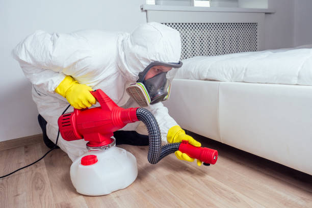 Best Insect Control  in Six Mile, SC