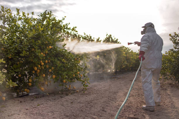 Best Exterminator Services  in Six Mile, SC