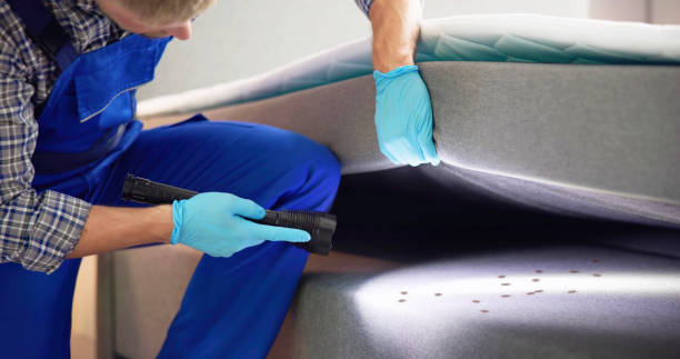 Best Pest Control Near Me  in Six Mile, SC