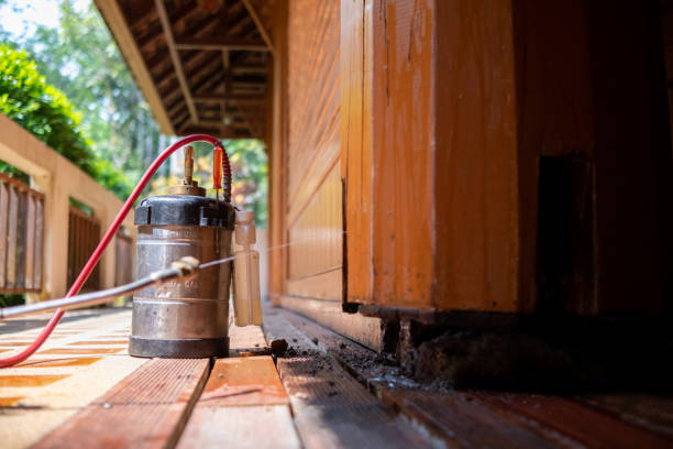 Best Termite Control Services  in Six Mile, SC
