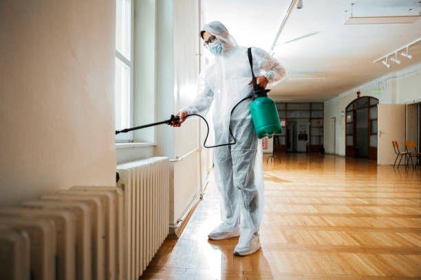Best Bed Bug Extermination  in Six Mile, SC