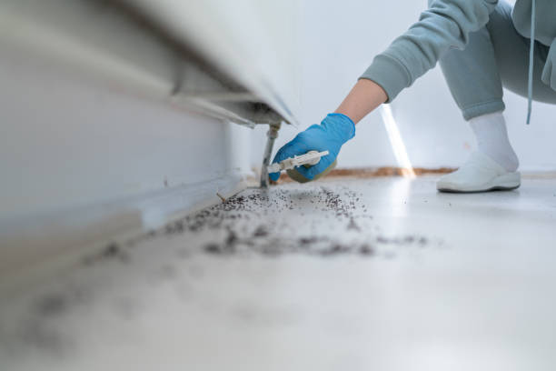Best Wildlife Control Services  in Six Mile, SC