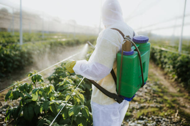Professional Pest Control in Six Mile, SC